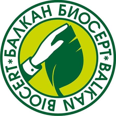My Website